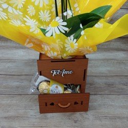 Mini Orquídea Te Amo - Cor Variada